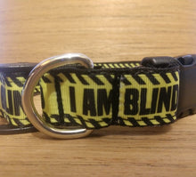 Load image into Gallery viewer, Collar and Leash Combo/ Large/ Blind