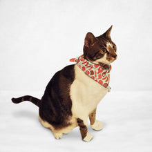 Load image into Gallery viewer, Meaty Cat & Dog Bandana