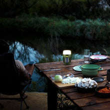 Load image into Gallery viewer, Mosquito Killer | Electric Camping and Patio Lamp
