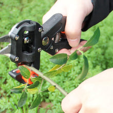 Load image into Gallery viewer, Tree Grafting Cutting Tool